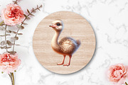 Watercolor Cute Baby Ostrich Clipart, an Illustration by CraftArtStudio (Thumbnail 4 of 5)