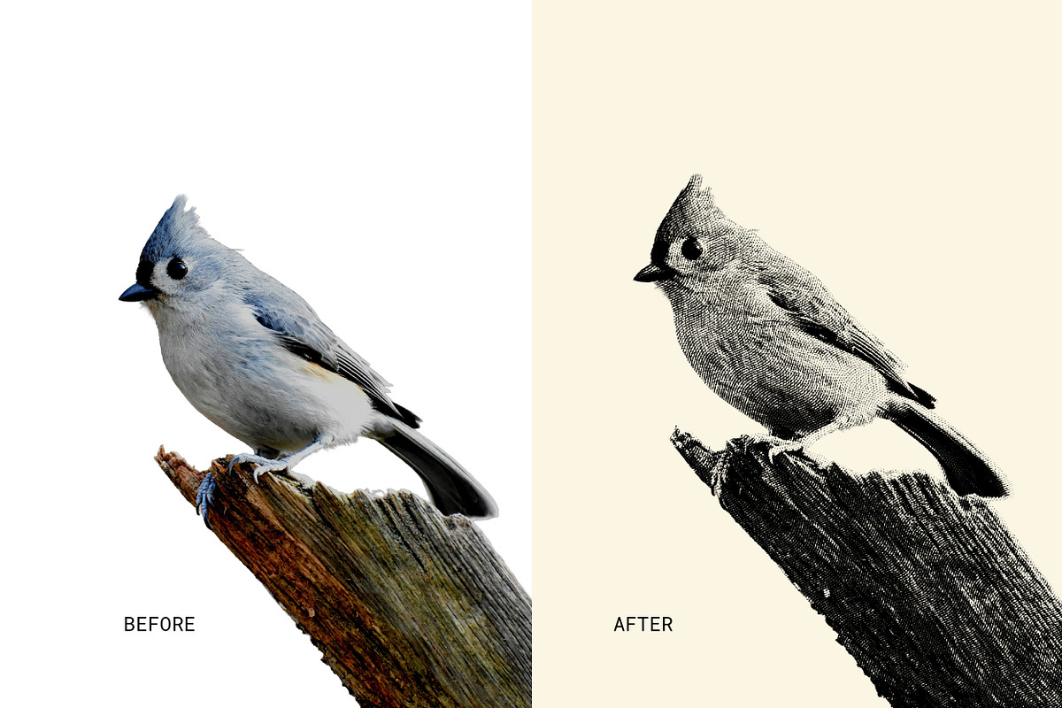 Easy Engraver Effects for Photoshop, a Layer Style Add-On by mockstar (Photo 2 of 6)