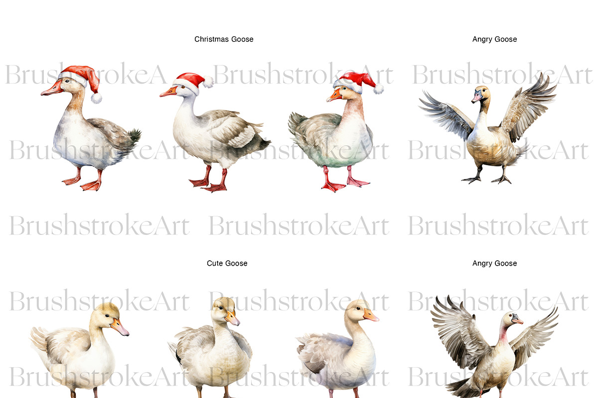 Watercolor Goose Clipart, Cute Geese, an Animal Illustration by BrushstrokeArtGB (Photo 6 of 9)