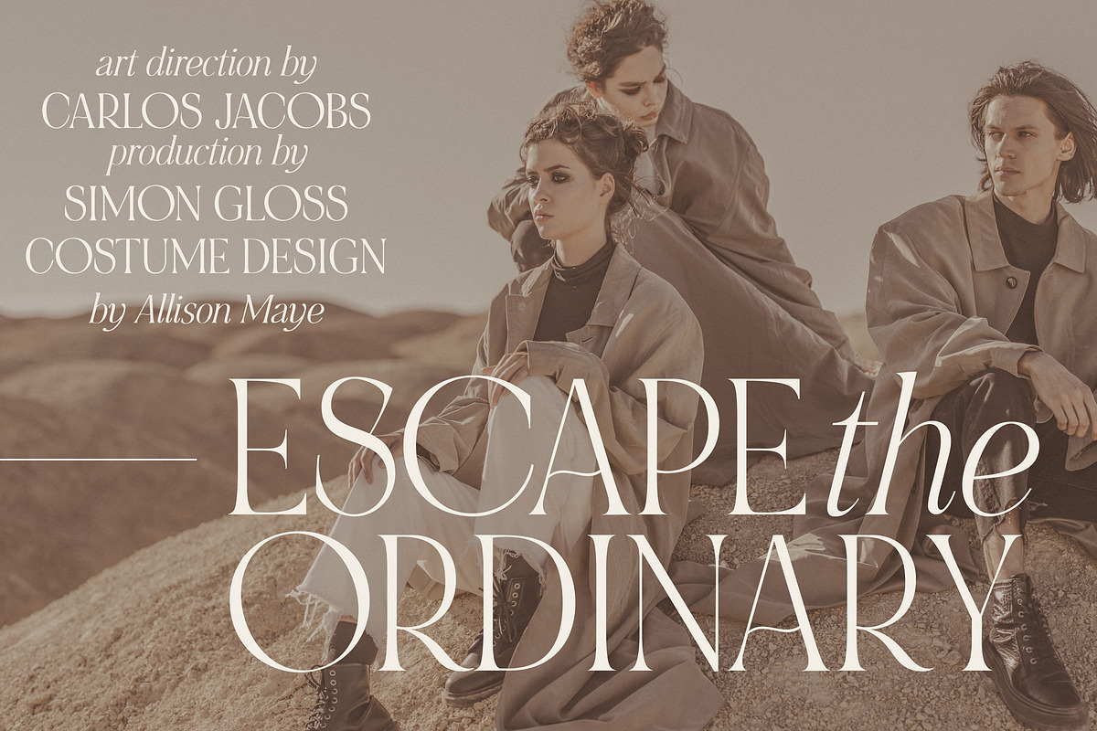 NOIR et BLANC Stylish Serif, a Serif Font by Nicky Laatz (Photo 15 of 41)