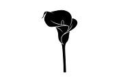 Black Lily Flower Vector Bundle, an Illustration by Designs_River (Thumbnail 6 of 51)