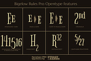 Bigelow Rules Pro, a Serif Font by Stiggy & Sands (Thumbnail 4 of 5)