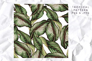 3 Tropical patterns & Floral set, a Pattern Graphic by ollalya (Thumbnail 3 of 5)