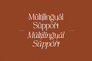 The Bilstein Editorial, a Serif Font by Pista Mova (Thumbnail 9 of 20)