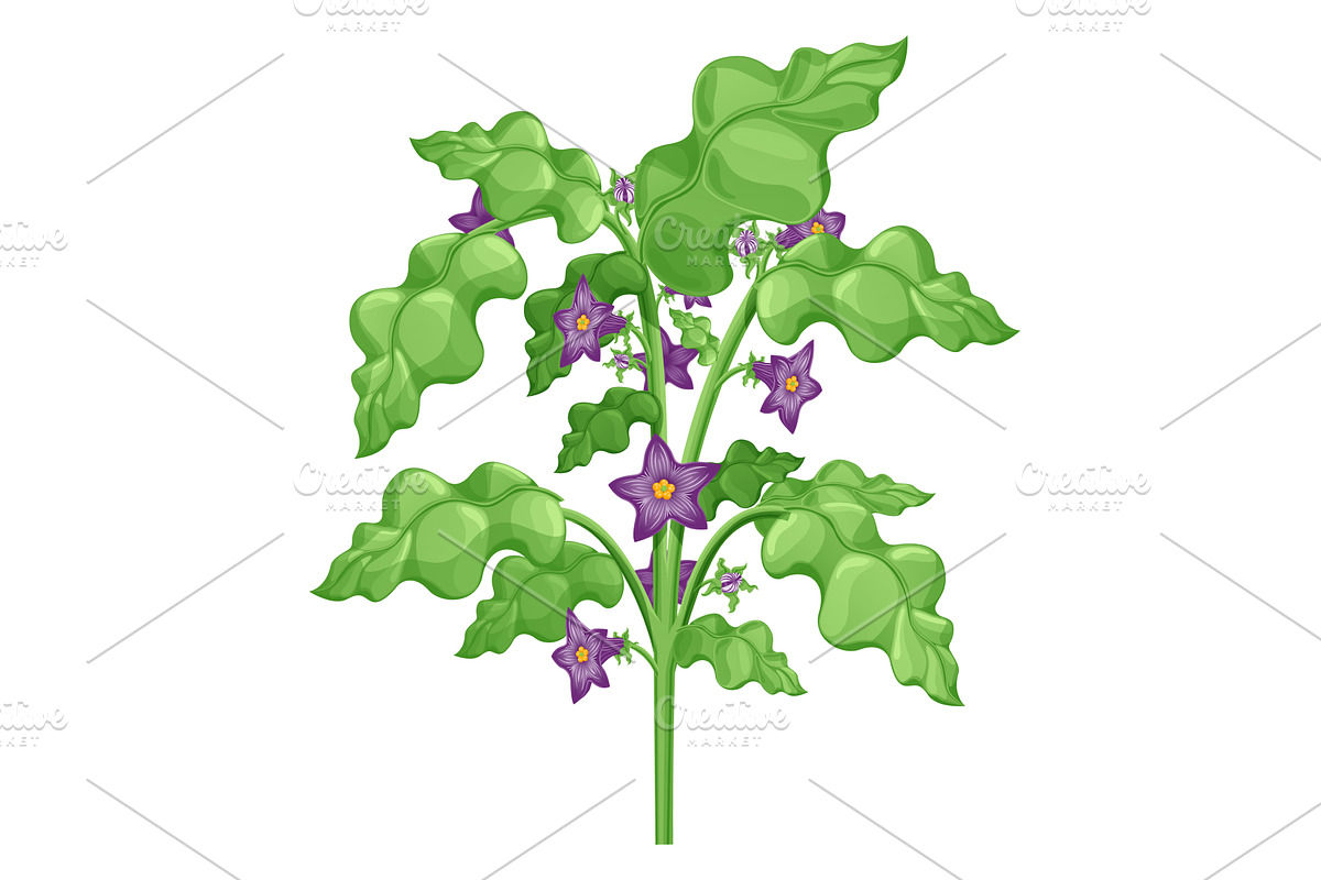 A cartoon of an eggplant plant, an Object Illustration by Things for designers