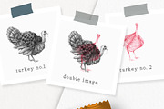 Hand drawn Turkeys Illustrations, an Animal Illustration by Greek fonts by nantia.co (Thumbnail 2 of 6)