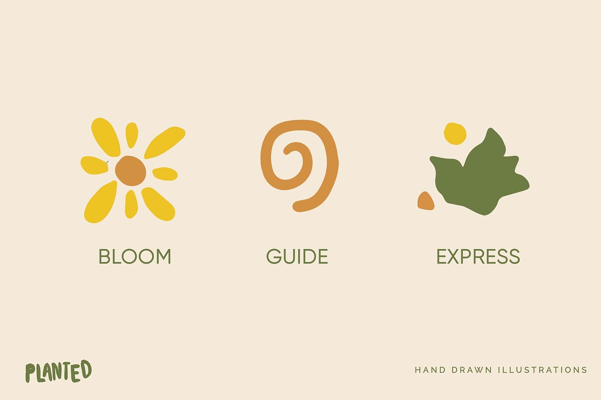 Planted Flower Sun Illustrations, a Solid Icon by CreativeWilderness (Photo 8 of 13)