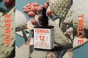 Efficacy Font Pairing + BONUS Logos, a Sans Serif Font by Design Surplus (Thumbnail 3 of 8)