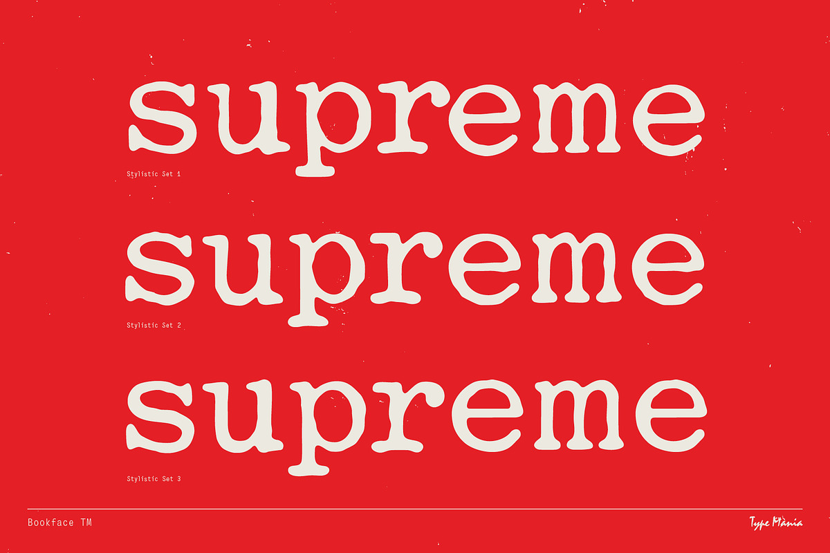 Bookface TM – Dynamic Grunge-y Type, a Slab Serif Font by Type Mania (Photo 8 of 11)