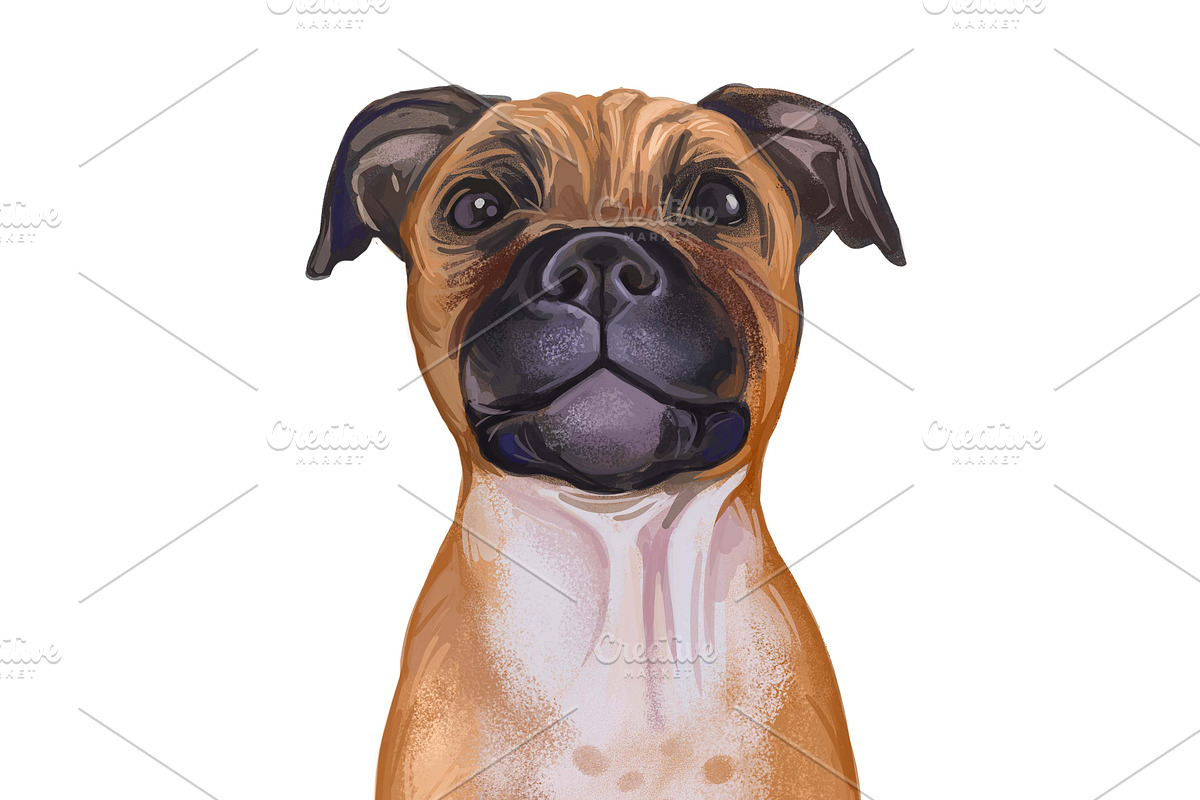 100 Dog Breeds Popular in the World, an Illustration by Dneprstock (Photo 2 of 5)