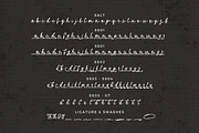 Gollder Vintage Font Duo, a Script Font by Ainun Jinan (Thumbnail 11 of 12)