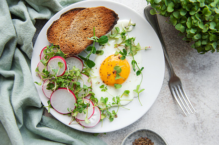Rye bread  with fried egg, a Food & Drink Photo by Olena Rudo