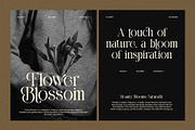 Mellano – Elegant Serif Font, a Serif Font by Perfectype (Thumbnail 4 of 8)