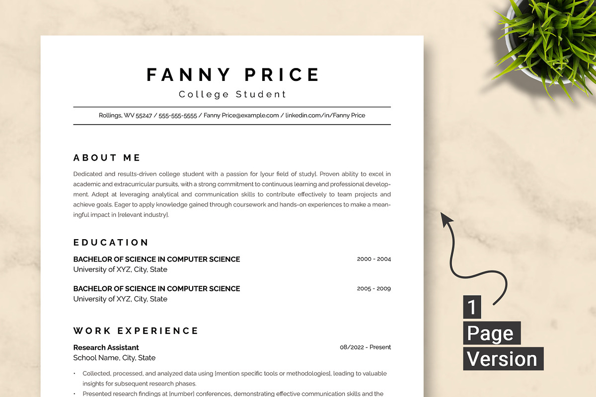 College Student Resume Template preview 2