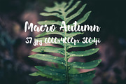 Macro Autumn photo bundle, a Templates & Theme by ApertureVintage (Thumbnail 7 of 21)