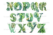 Monstera Alphabet Clipart, a Seasonal Illustration by GlamArtZhanna (Thumbnail 3 of 5)
