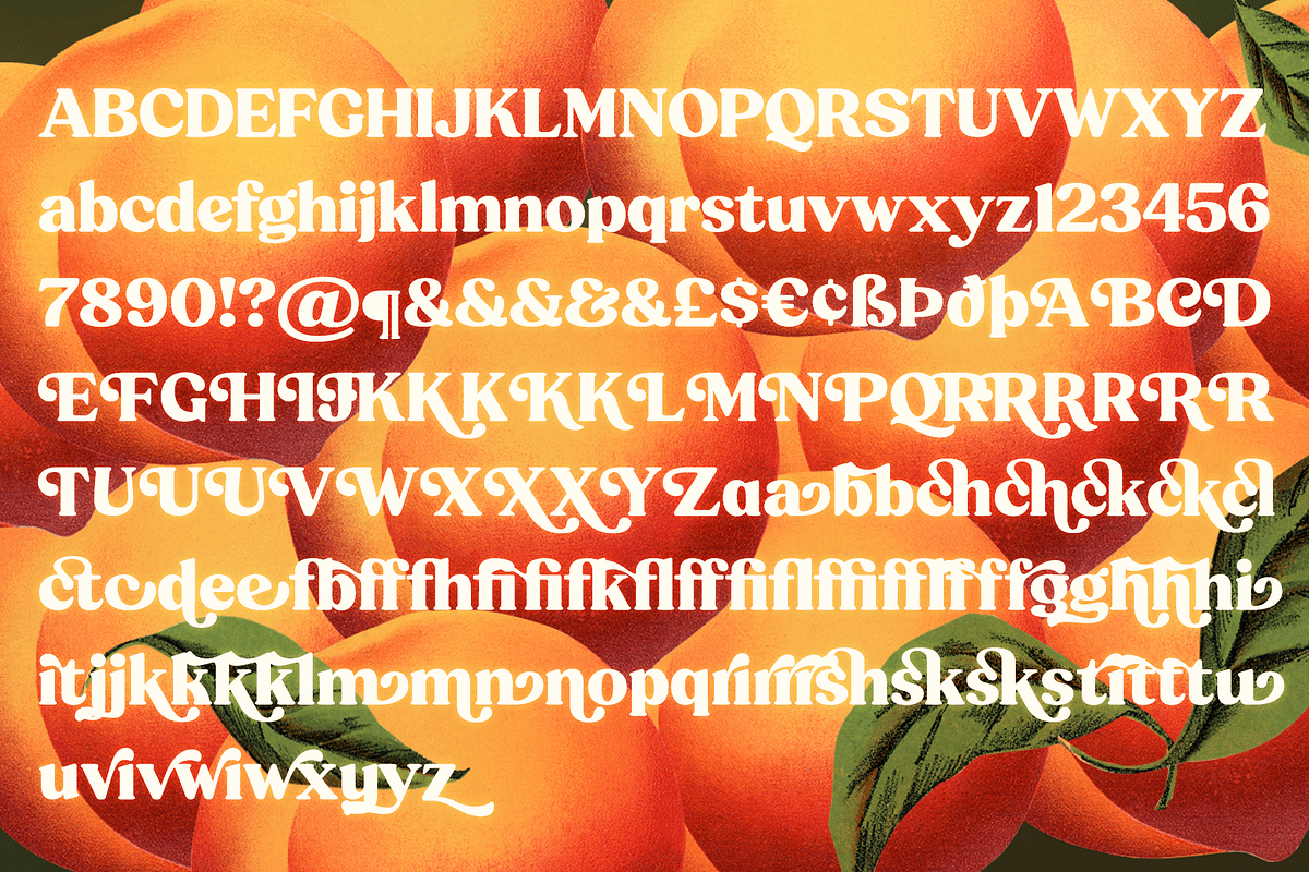 Peach Crush Serif Typeface, a Serif Font by Fenotype (Photo 13 of 16)