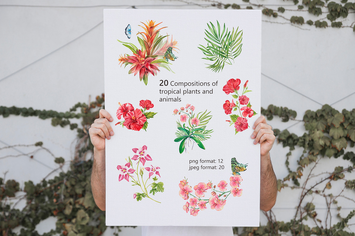 Tropic flower watercolor clip art, a Decorative Illustration by Nastya Che (Photo 3 of 9)