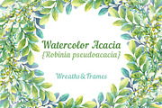 Watercolor acacia, an Illustration by Evgeniia Zagreeva (Thumbnail 1 of 3)
