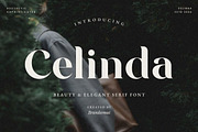 Celinda Regular Font, a Script Font by Believe Creatives (Thumbnail 1 of 10)