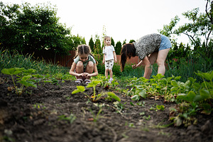 Family gardening together during summer on a green and peaceful countryside far, a Person Photo by AS photostudio