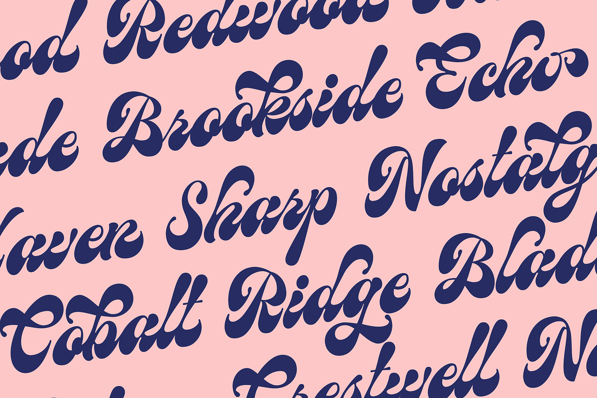 Birchside Script, a Script Font by Get Studio (Photo 23 of 28)