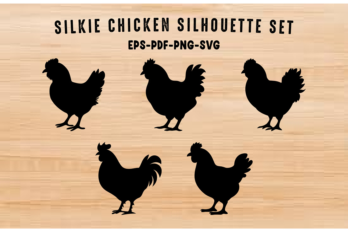 Silkie Chickens SVG Black Set, an Animal Illustration by Gfx Expert Team (Photo 1 of 3)