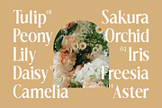 Dionara Luxury Elegant Serif Font, a Serif Font by Rasio Studio (Thumbnail 4 of 8)