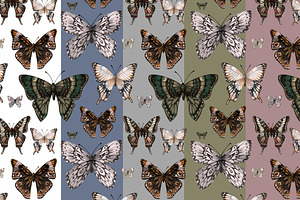 Butterflies SET And Patterns