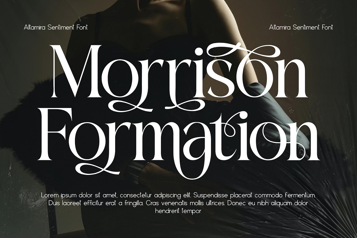 Altamira Sentiment - Elegant Serif, a Serif Font by 177Studio (Photo 5 of 8)