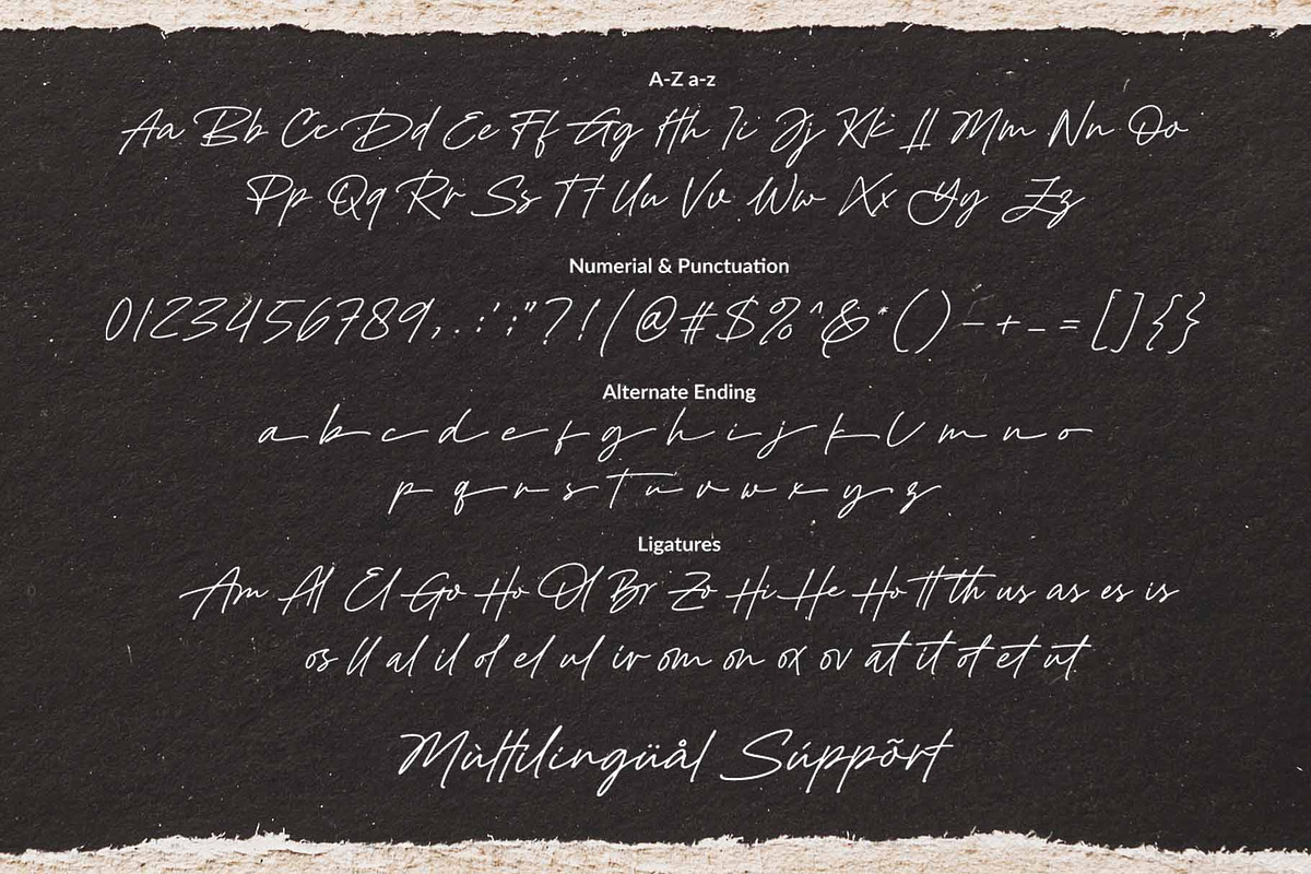 Ditaleni - An Elegant Signature Font, a Script Font by Subectype Studio (Photo 8 of 9)
