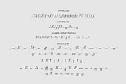 Constant script, a Script Font by Artic Type (Thumbnail 6 of 6)