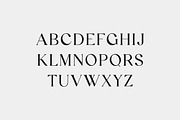 Reanointe Serif Display, a Serif Font by UICreative (Thumbnail 5 of 13)