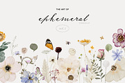 The Art of Ephemeral, an Illustration by Isabelle Salem (Thumbnail 1 of 12)