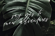 San Clemente | A Carefree Script, a Script Font by Jen Wagner Co (Thumbnail 2 of 8)
