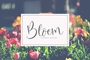 Oh Beloved Script, a Script Font by Nissa Studio (Thumbnail 3 of 12)