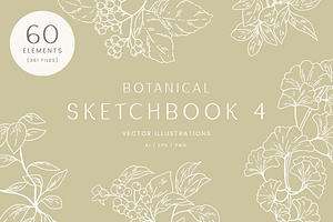 Botanical Sketch Vector Illustration