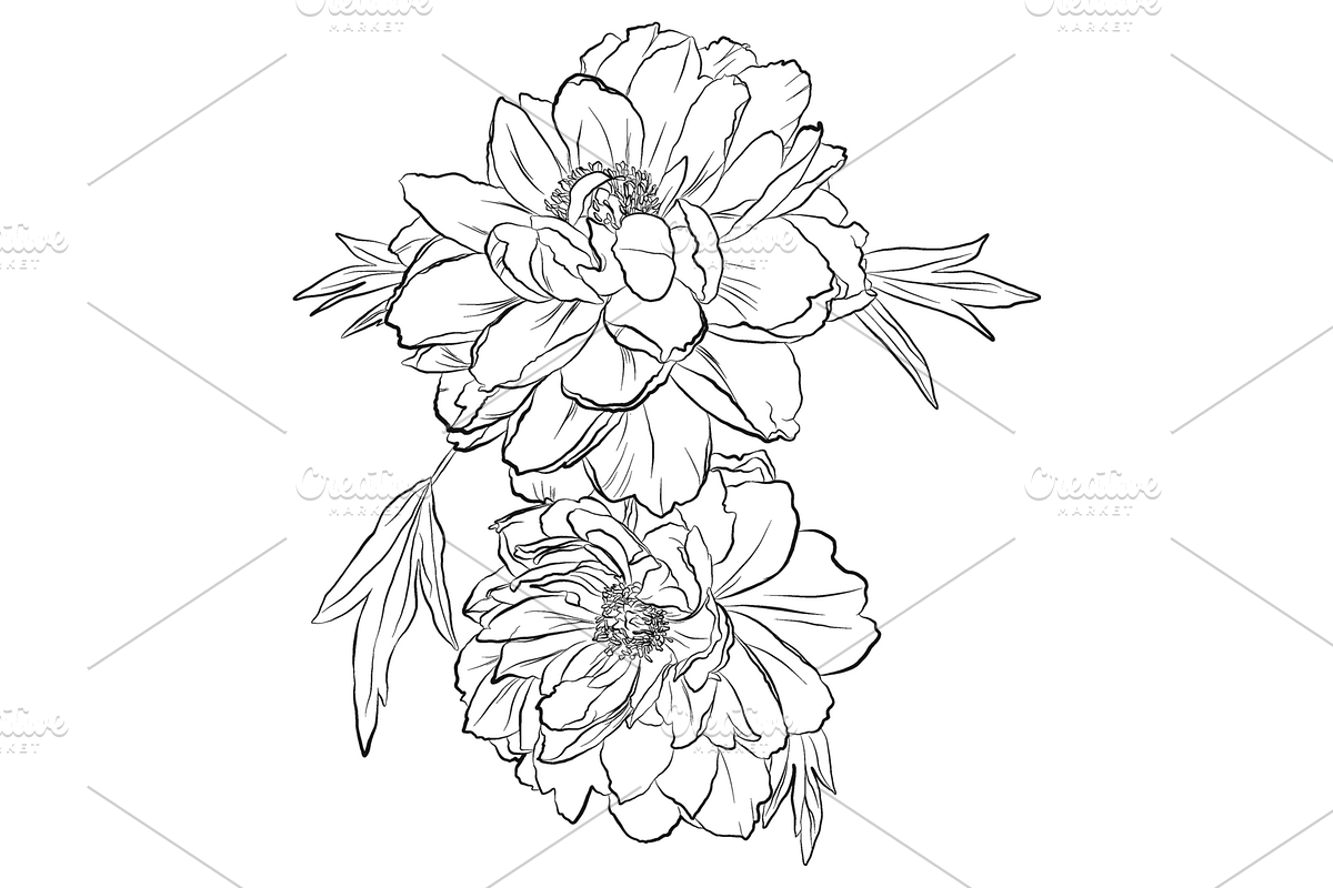 Delicate Peonies, an Object Graphic by VictoriaKStudio (Photo 4 of 6)