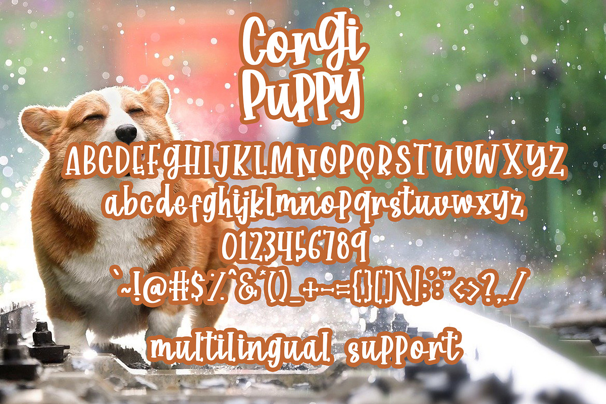 Corgi Puppy - Handwritten Font preview 6