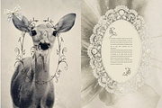 Vintage Lace Frame Set, an Object Graphic by Layl Atelier (Thumbnail 4 of 10)