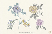 PAEONIA - Seamless Peony Pattern, a Pattern Graphic by C & G (Thumbnail 3 of 7)