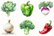 Vegetable Watercolor Clipart, an Illustration by OK Design (Thumbnail 2 of 5)
