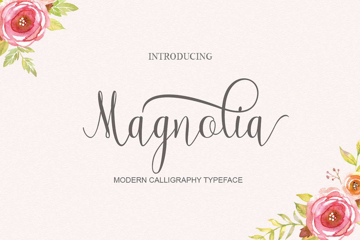 Magnolia, a Script Font by PollemSt (Photo 1 of 8)
