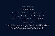 Lecherously Modern Serif Font, a Serif Font by UICreative (Thumbnail 6 of 13)