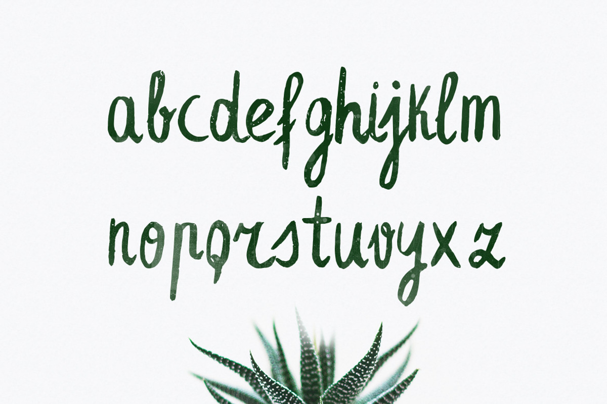 Leafy Extended Brush Font preview 4