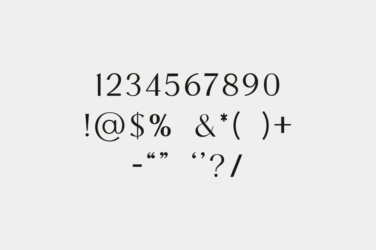 Reanointe Serif Display, a Serif Font by UICreative (Photo 7 of 13)