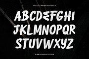 Melliot - Brush Font, a Sans Serif Font by Flawless And Co (Thumbnail 7 of 10)