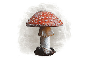 Mushroom Illustration