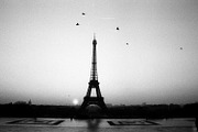 Black&White Archives ~ 92 HQ photos, a Templates & Theme by Barn Images (Thumbnail 5 of 7)
