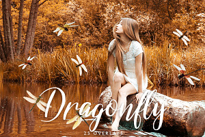 Dragonfly Overlays